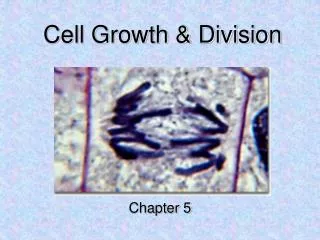 Cell Growth &amp; Division