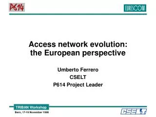 Access network evolution: the European perspective