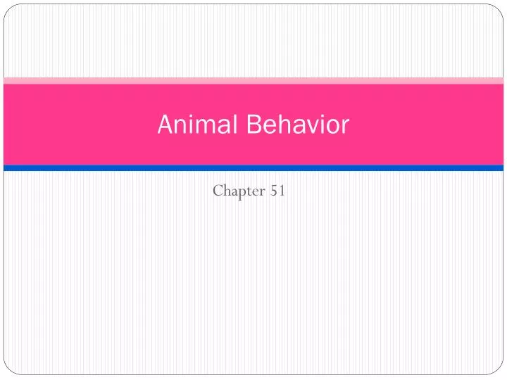 animal behavior