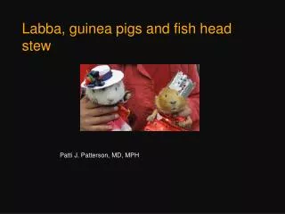 Labba, guinea pigs and fish head stew