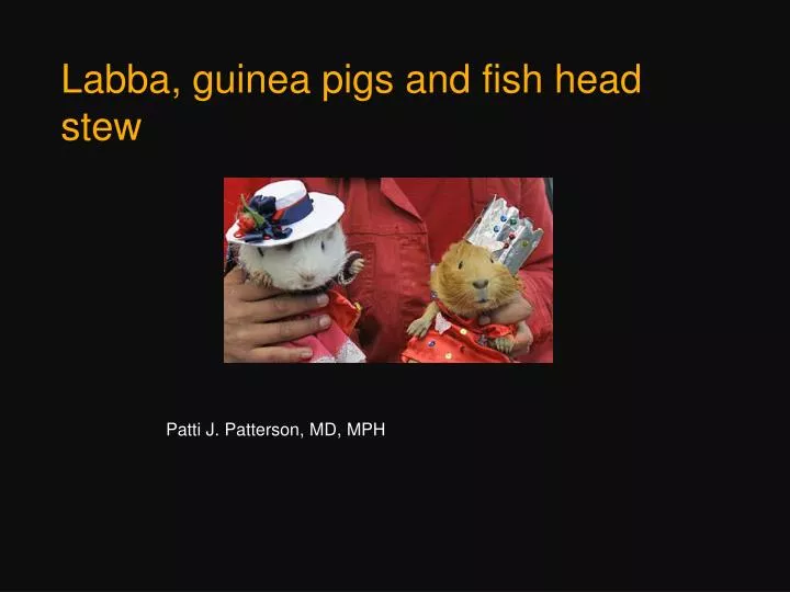 labba guinea pigs and fish head stew