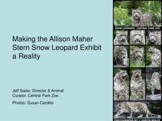 Making the Allison Maher Stern Snow Leopard Exhibit a Reality