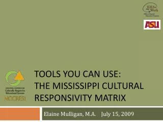 Tools you can use: The Mississippi cultural responsivity matrix