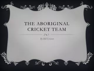The aboriginal cricket team
