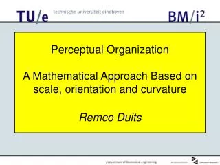 Perceptual Organization A Mathematical Approach Based on scale, orientation and curvature