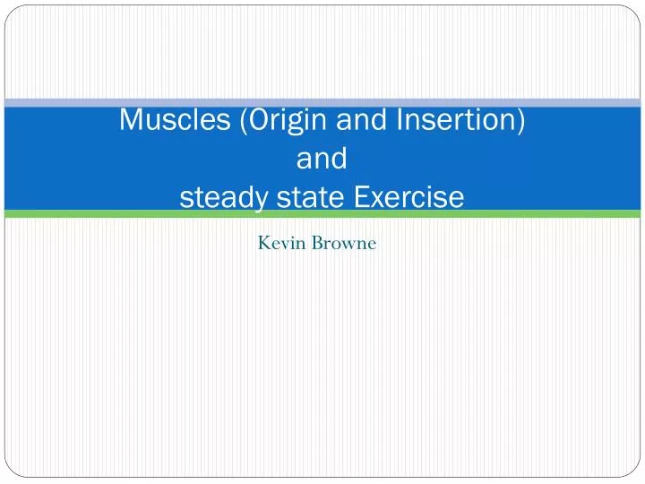 muscles origin and insertion and steady state exercise