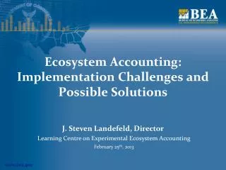 Ecosystem Accounting: Implementation Challenges and Possible Solutions