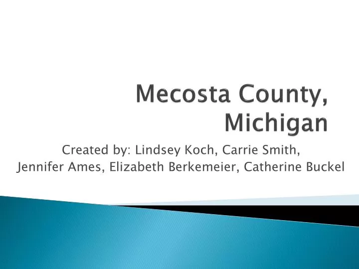 mecosta county michigan