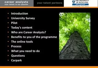 Introduction University Survey Pilot Today's content Who are Career Analysts?