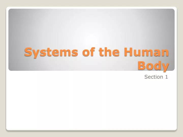 systems of the human body