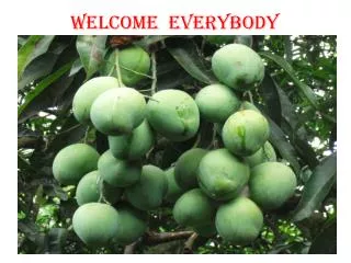 WELCOME EVERYBODY