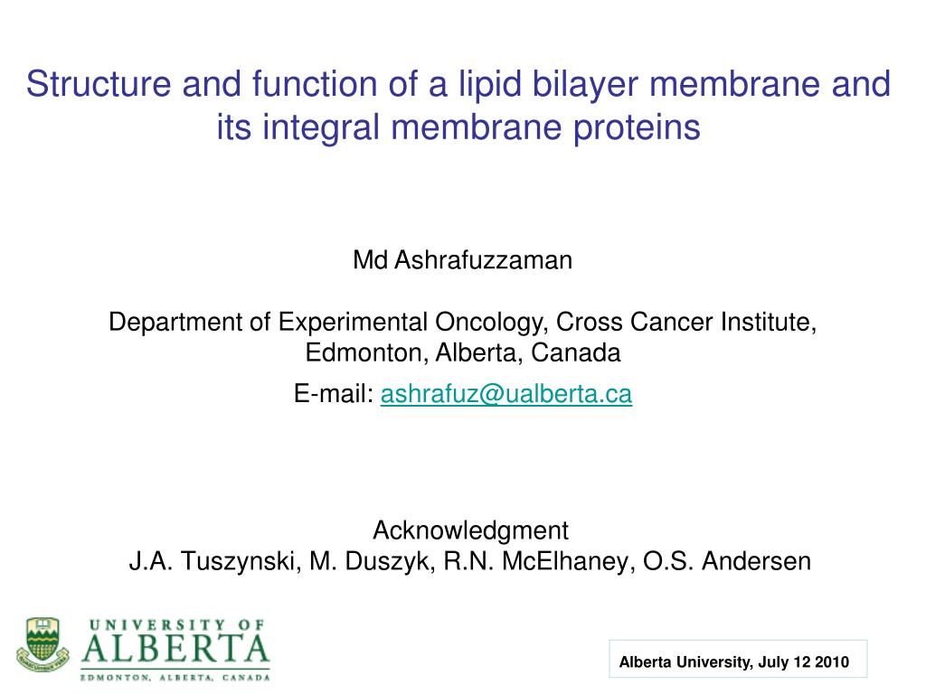 PPT - Structure and function of a lipid bilayer membrane and its ...