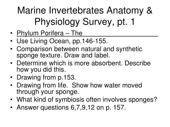 marine invertebrates anatomy physiology survey pt 1