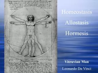 Homeostasis Allostasis Hormesis Vitruvian Man Leonardo Da Vinci