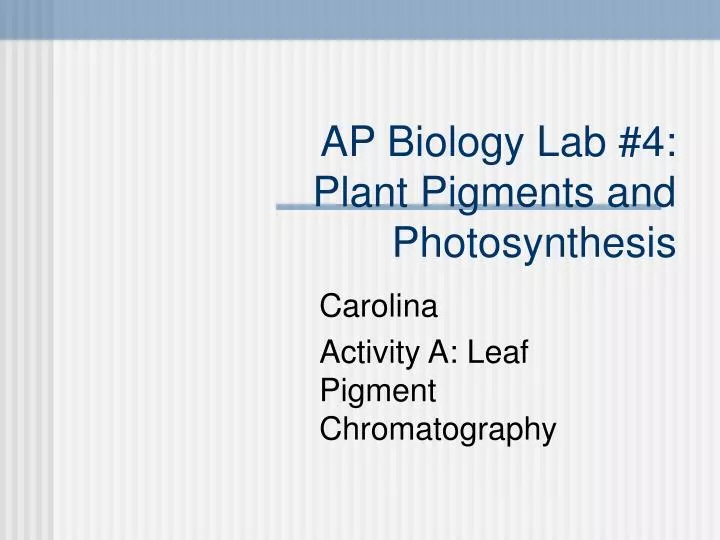 ap biology lab 4 plant pigments and photosynthesis