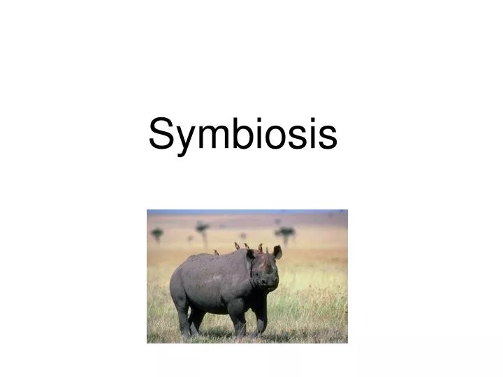 symbiosis