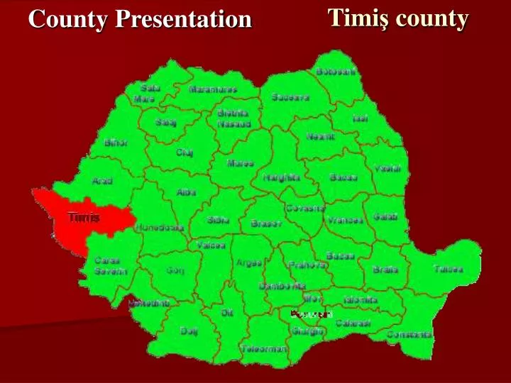 timi county