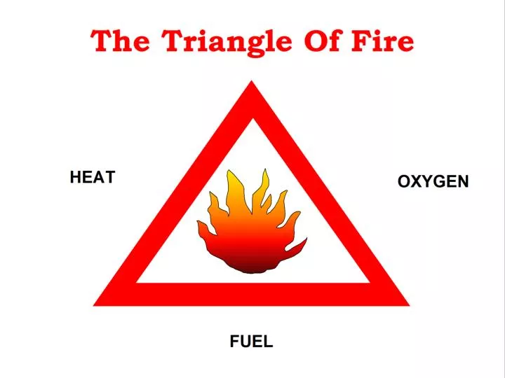 The Epidemiologic Triangle - ppt video online download