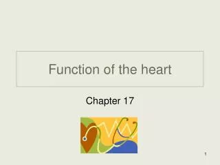 Function of the heart