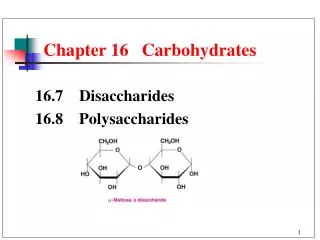 chapter 16 carbohydrates