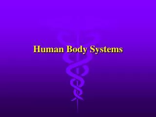 human body systems