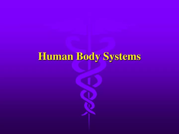 human body systems