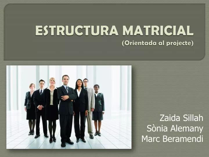 estructura matricial orientada al projecte