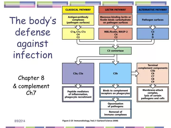 the body s defense against infection
