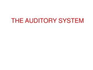 THE AUDITORY SYSTEM