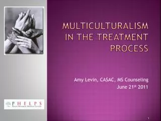 Multiculturalism in the treatment process