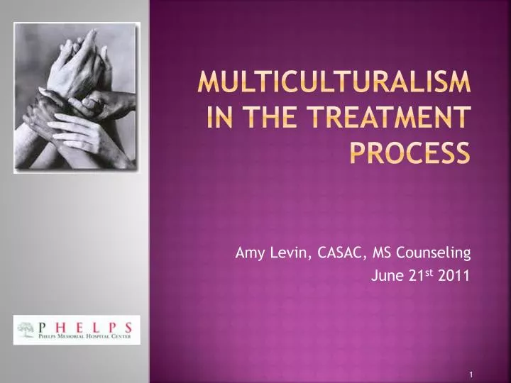 multiculturalism in the treatment process