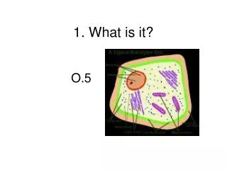 1 what is it