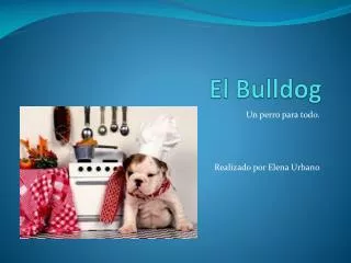 el bulldog