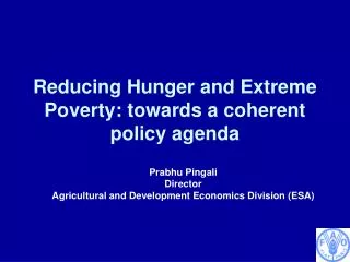 Reducing Hunger and Extreme Poverty: towards a coherent policy agenda