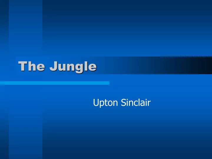 the jungle