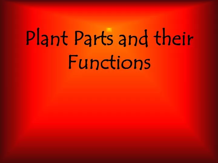 plant parts and their functions