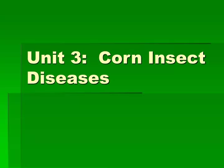 unit 3 corn insect diseases