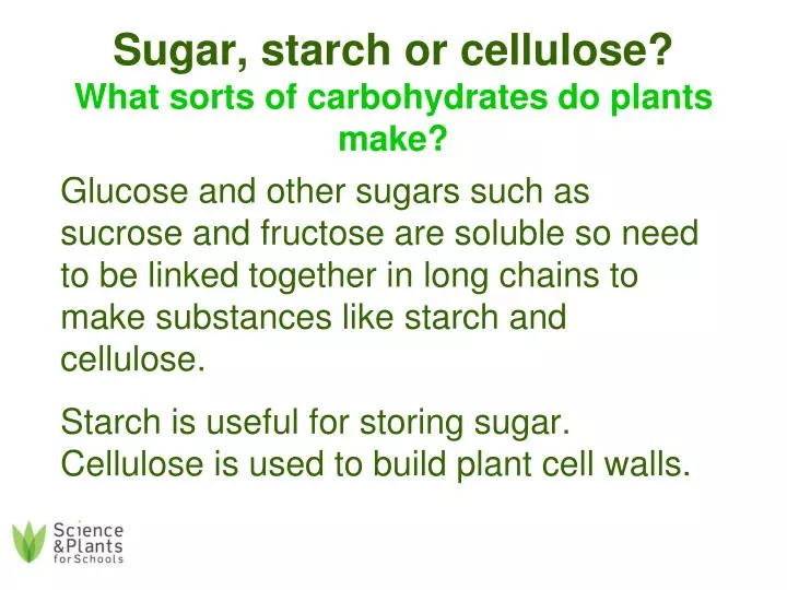 sugar starch or cellulose what sorts of carbohydrates do plants make
