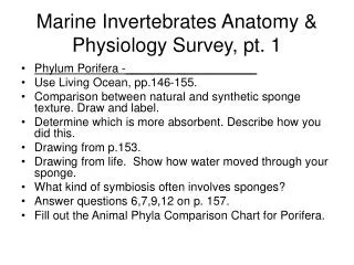 Marine Invertebrates Anatomy &amp; Physiology Survey, pt. 1