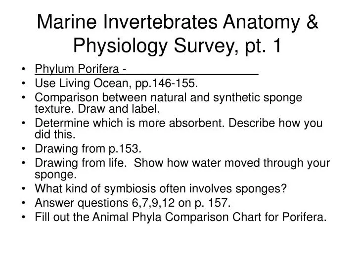 marine invertebrates anatomy physiology survey pt 1