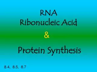 RNA Ribonucleic Acid