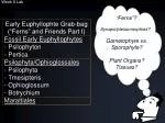 Week 8 Lab - slide 1