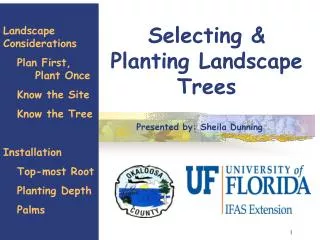 Selecting &amp; Planting Landscape Trees