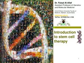 Dr. Faisal Al-Allaf Assistant Professor of Genetics and Molecular Medicine