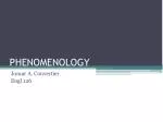 PHENOMENOLOGY - slide 1