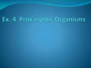 Ex. 4 Prokaryotic Organisms