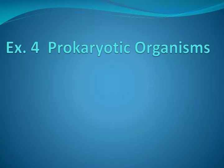 ex 4 prokaryotic organisms