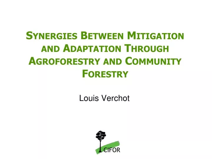 synergies between mitigation and adaptation through agroforestry and community forestry