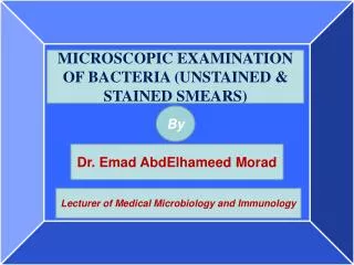 MICROSCOPIC EXAMINATION OF BACTERIA (UNSTAINED &amp; STAINED SMEARS)