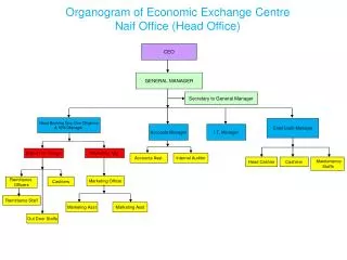 Organogram of Economic Exchange Centre Naif Office (Head Office)